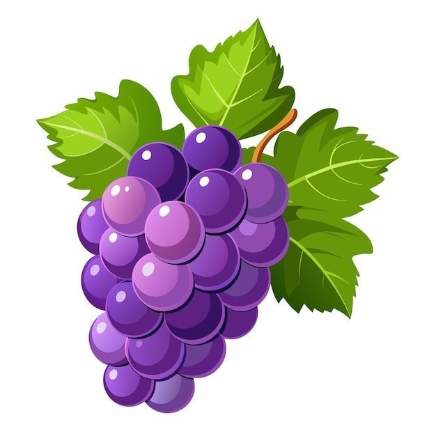 葡萄水果元素
