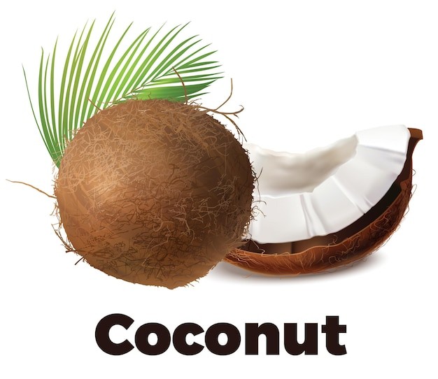 椰子水果元素