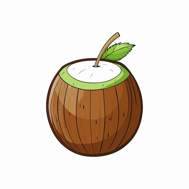 椰子水果元素
