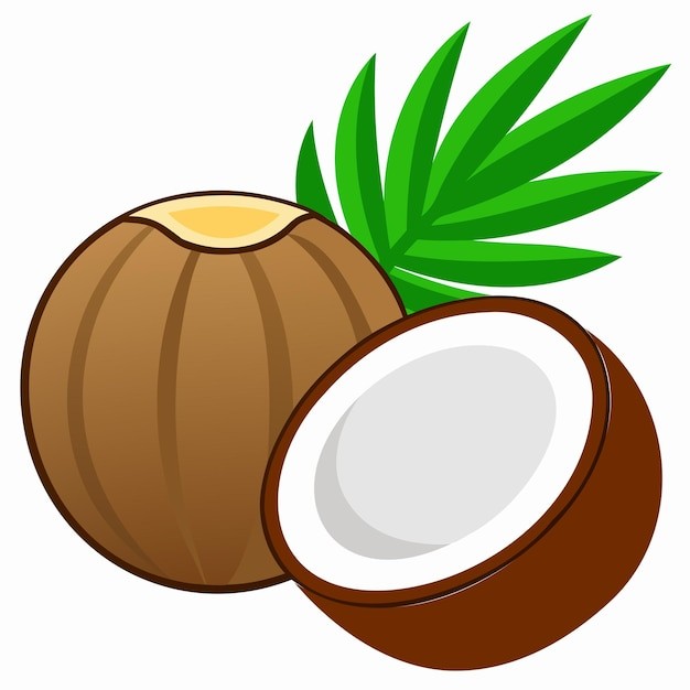 椰子水果元素