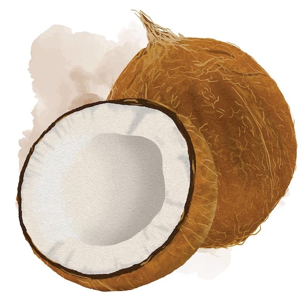 椰子水果元素