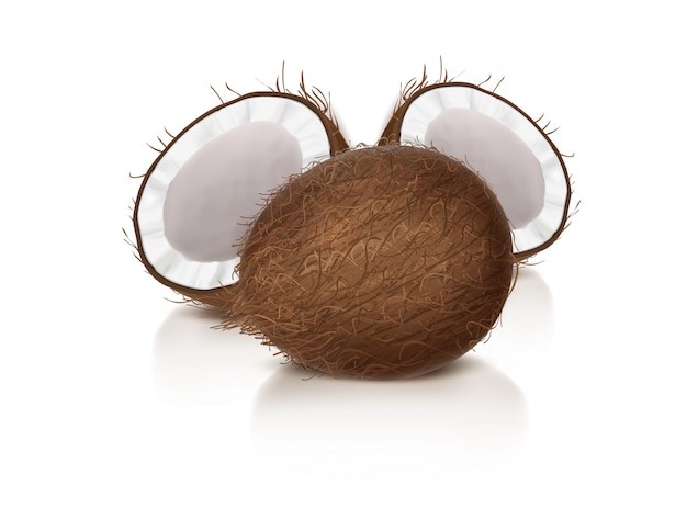 椰子水果元素