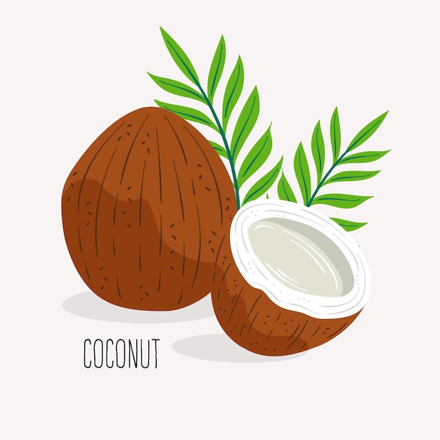 椰子水果元素