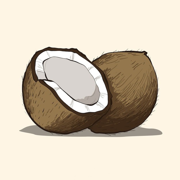 椰子水果元素
