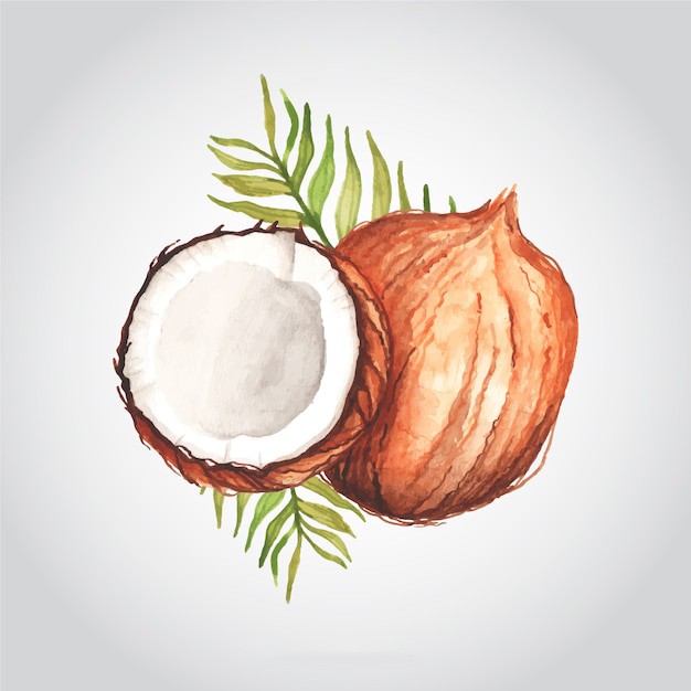 椰子水果元素