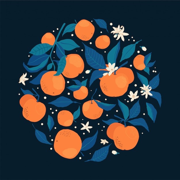 橘子桔子水果元素