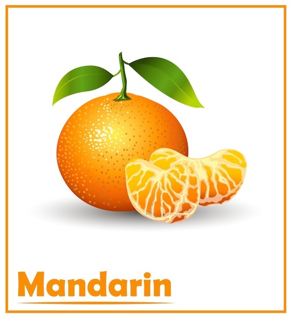 橘子桔子水果元素