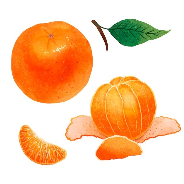 橘子桔子水果元素