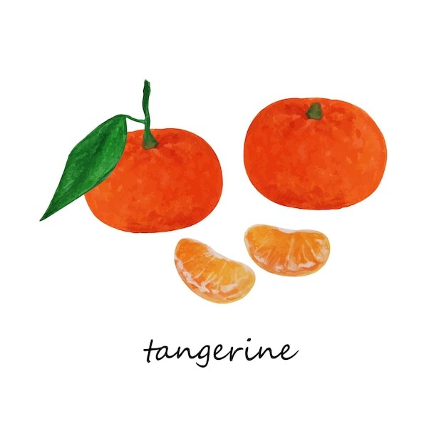 橘子桔子水果元素