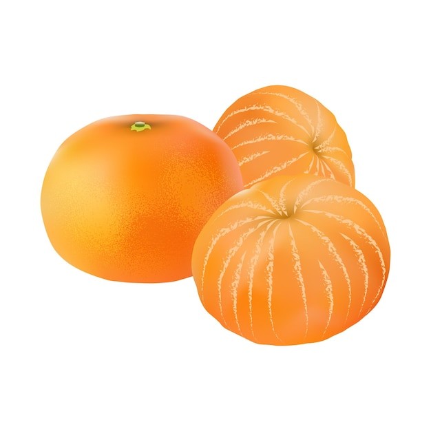 橘子桔子水果元素