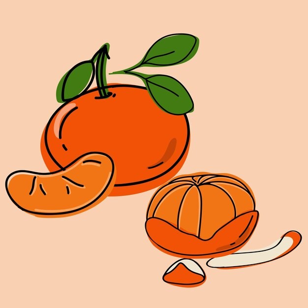 橘子桔子水果元素