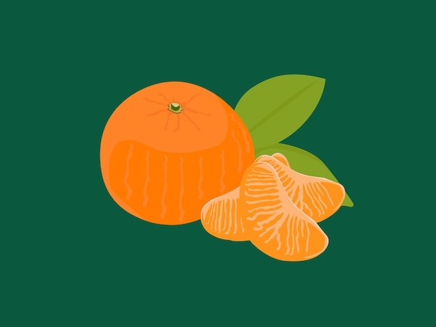 橘子桔子水果元素