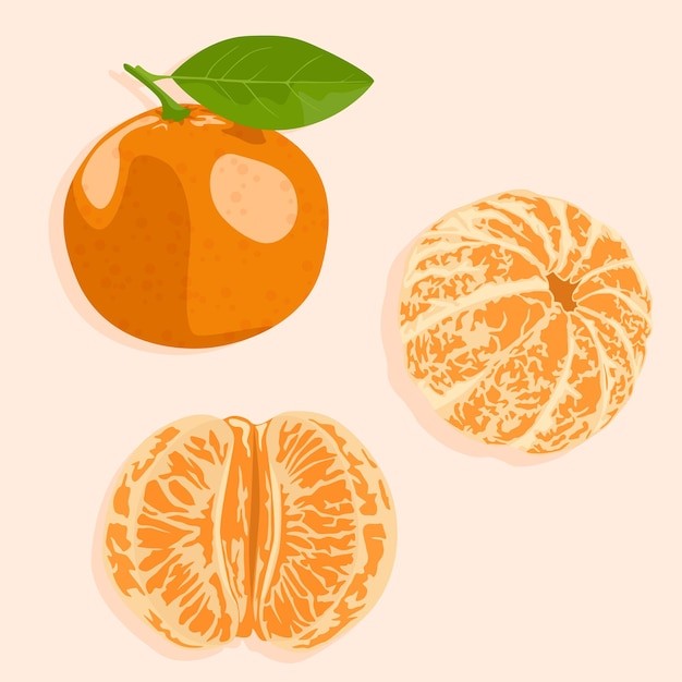 橘子桔子水果元素