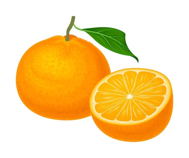 橘子桔子水果元素