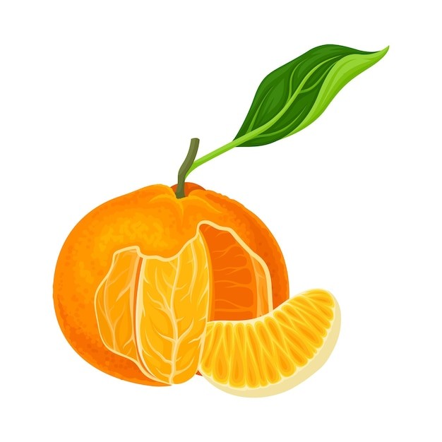 橘子桔子水果元素