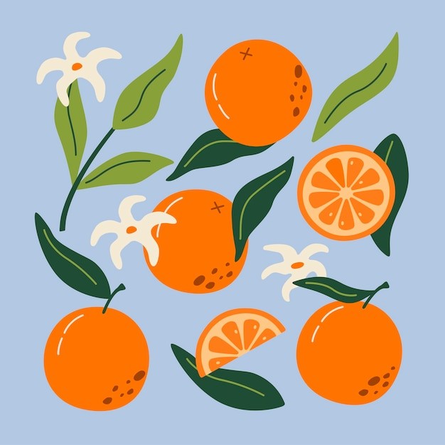 橘子桔子水果元素