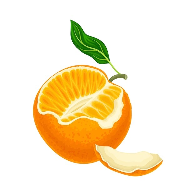 橘子桔子水果元素