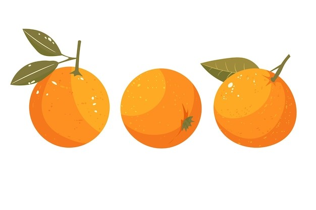 橘子桔子水果元素