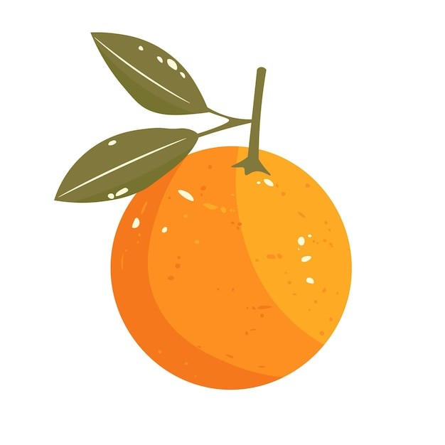 橘子桔子水果元素