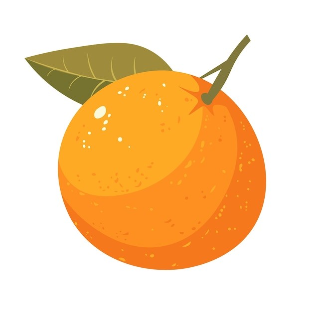 橘子桔子水果元素