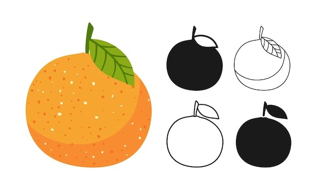 橘子桔子水果元素