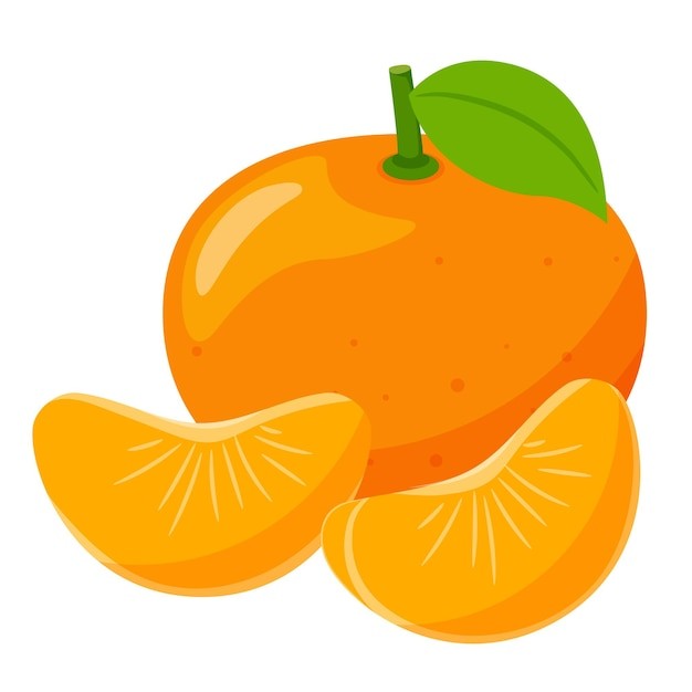 橘子桔子水果元素