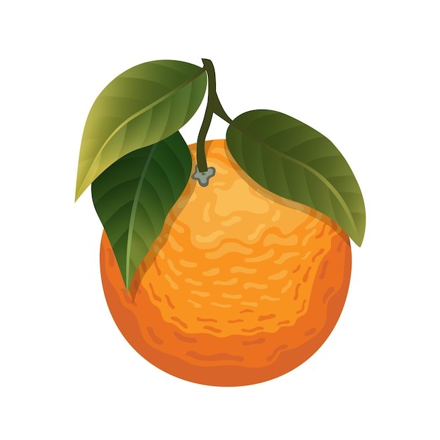 橘子桔子水果元素