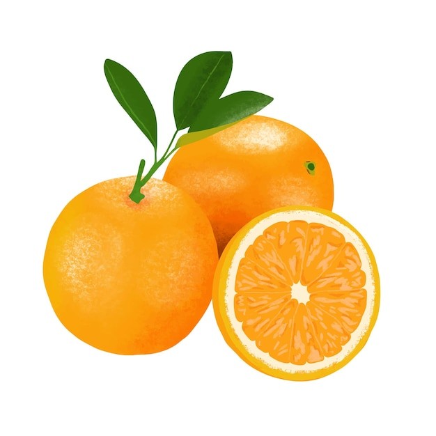 橘子桔子水果元素