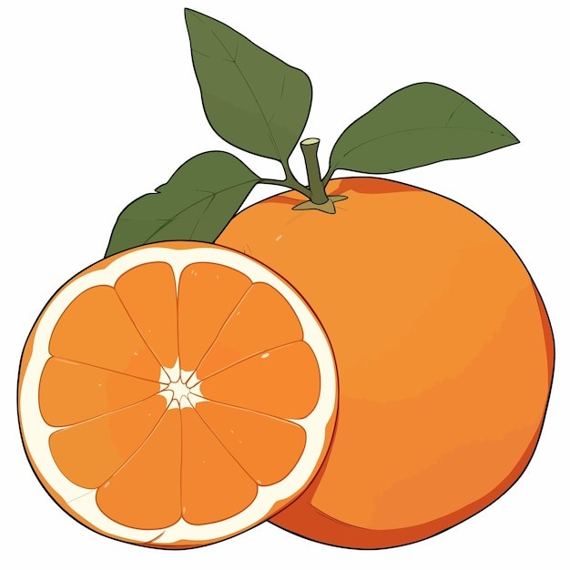 橘子桔子水果元素