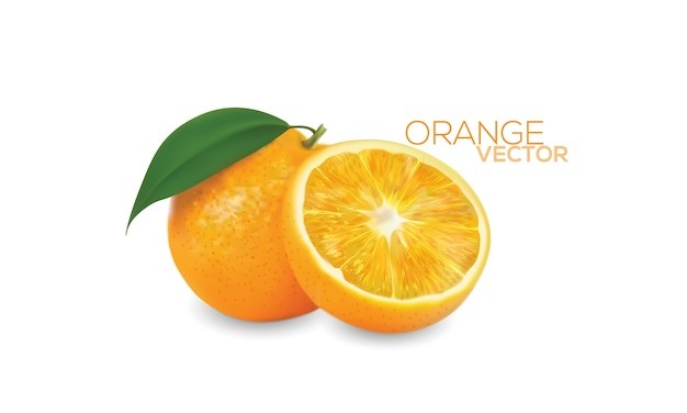 橙子水果元素