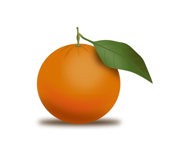橙子水果元素