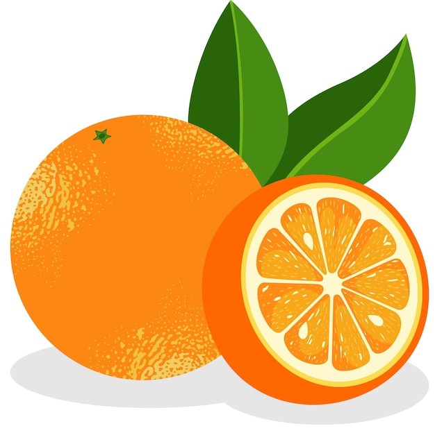 橙子水果元素