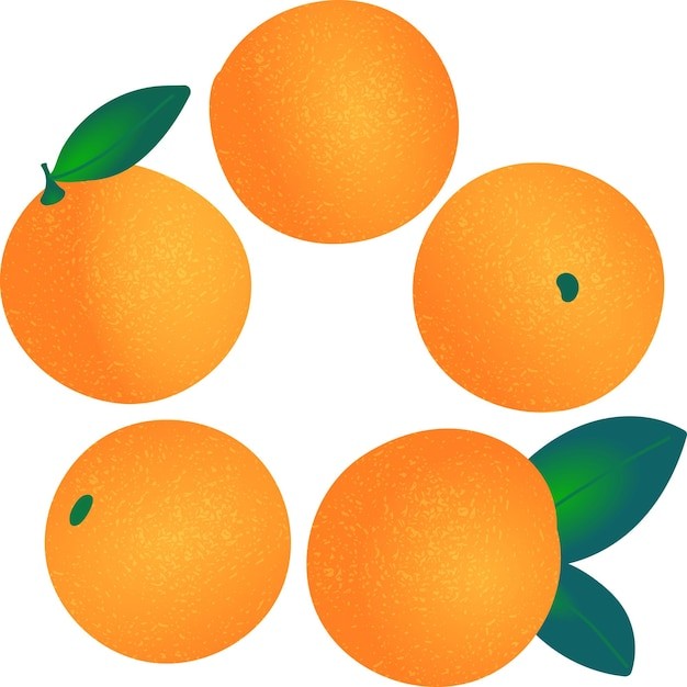 橙子水果元素