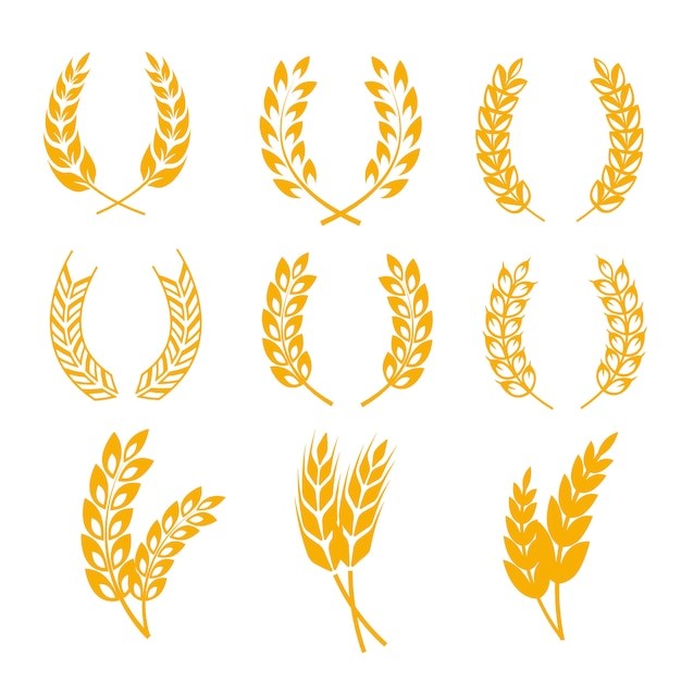 麦穗小麦谷物元素