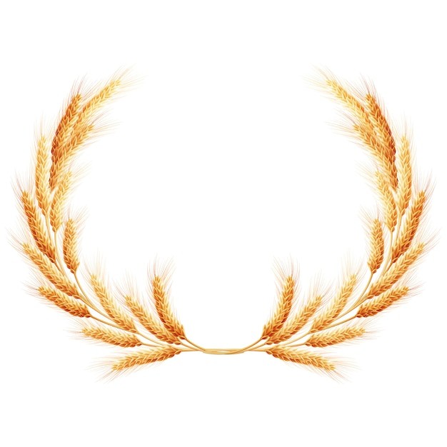 麦穗小麦谷物元素