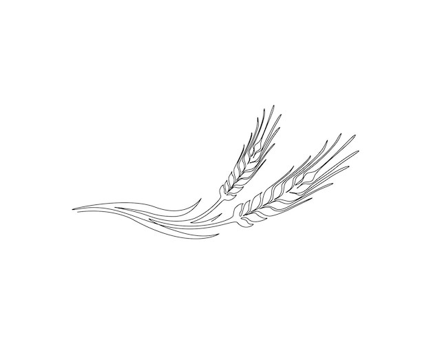 麦穗小麦谷物元素