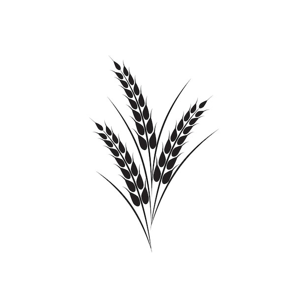 麦穗小麦谷物元素