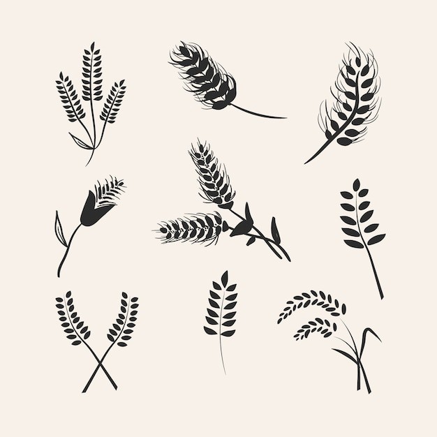 麦穗小麦谷物元素