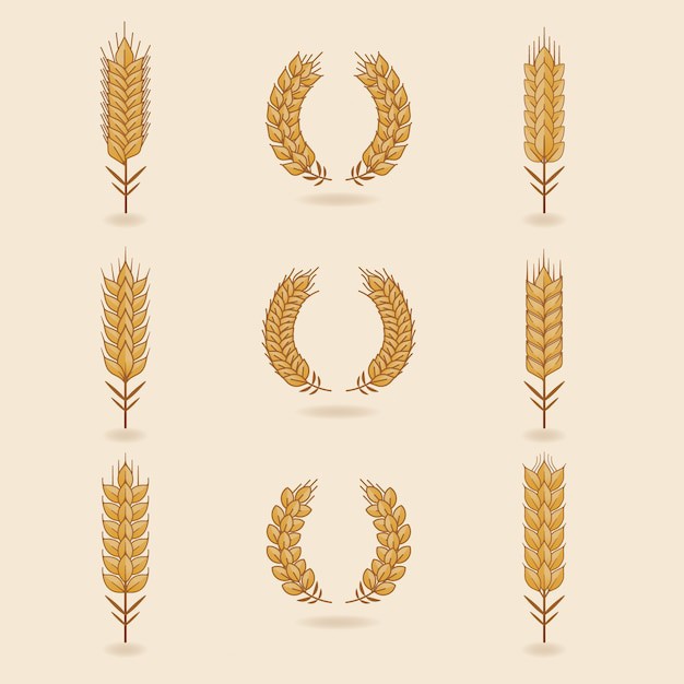 麦穗小麦谷物元素