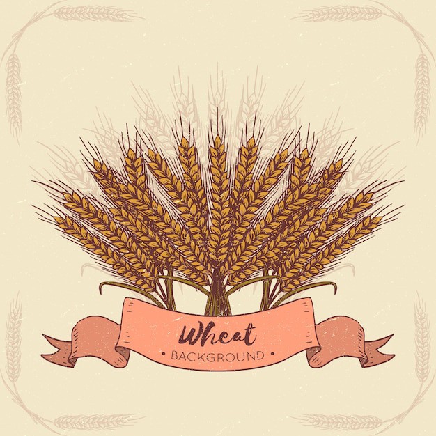 麦穗小麦谷物元素