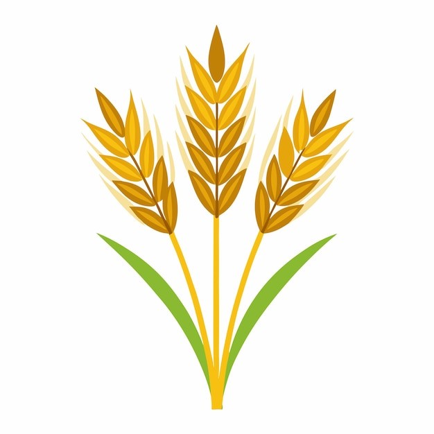 麦穗小麦谷物元素