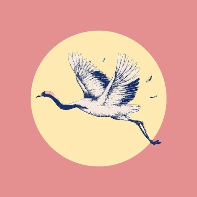 飞翔的鹤插画