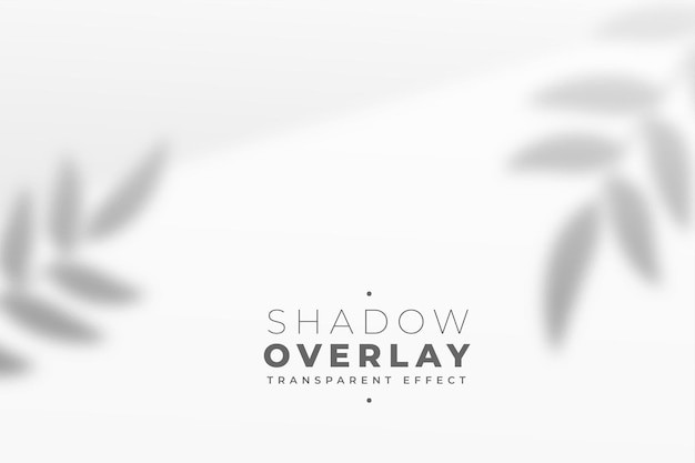 叶子树叶投影阴影效果墙面背景