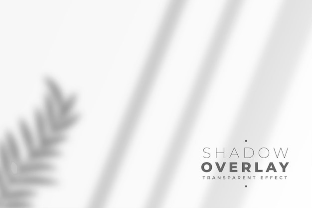 叶子树叶投影阴影效果墙面背景