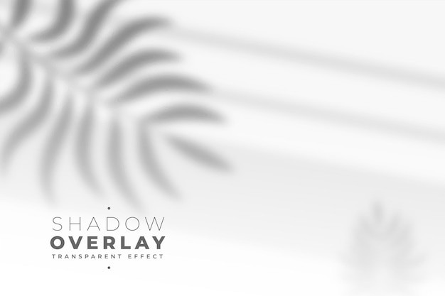 叶子树叶投影阴影效果墙面背景