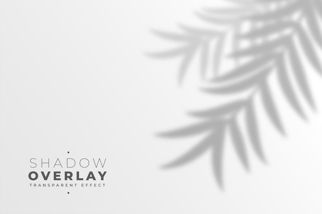 叶子树叶投影阴影效果墙面背景