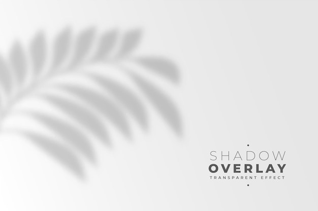 叶子树叶投影阴影效果墙面背景