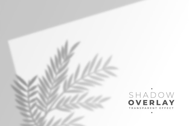 叶子树叶投影阴影效果墙面背景