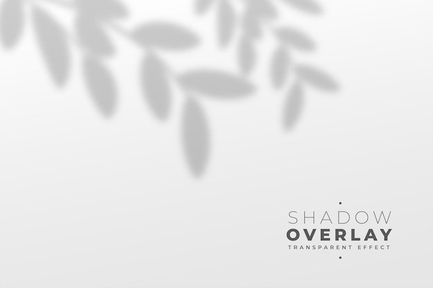 叶子树叶投影阴影效果墙面背景