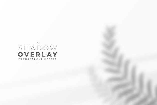 叶子树叶投影阴影效果墙面背景